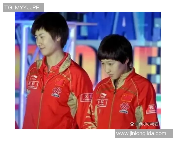 丁宁与刘诗雯巅峰对决乒乓球赛场上的女王之争与荣耀之路